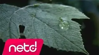 Redd - Yavaş Yavaş Yavaş