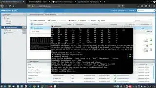 Langkah-langkah Membuat dan Instalasi Virtual Mesin - Alpine Linux di VMware ESXi 7.0