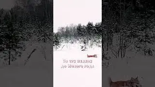 В родном Строгино на берегу Москва-реки за три недели до Нового года