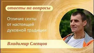 Как отличить СЕКТУ от настоящей ДУХОВНОЙ ТРАДИЦИИ? (Владимир Слепцов)