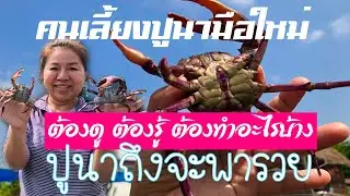 เลี้ยงปูนา ต้องดู รู้ ทำอะไรบ้าง ให้สำเร็จเป็นปูนาพารวย ในยุคโควิด 19 สำหรับมือใหม่ #239 ฟาร์มปูนา