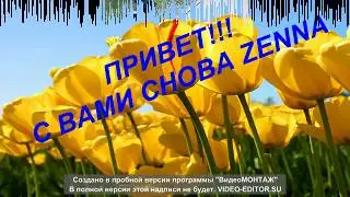 Новый проект ZENNA