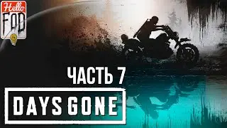 Days Gone (Сложность: Выживание II) ➤ Нет начала и нет конца ➤ Часть 7!
