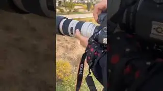 Unveiling the beauty of outdoor moments. 📸✨ #OutdoorPhotoshoot#NatureCapture#PhotographyMagic