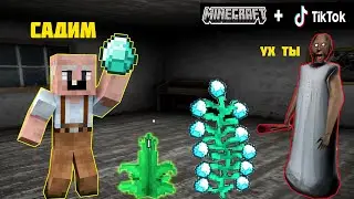 БАБКА ГРЕННИ ПРОВЕРИЛА ЛАЙФХАКИ ИЗ ТИК ТОКА В МАЙНКРАФТ НУБИК В MINECRAFT ТРОЛЛИНГ ЛОВУШКА GRANNY