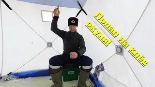 Попал на клёв окуня. Ловля окуня зимой