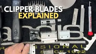 Different Styles of Clipper Blades (Basics)