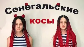 Заплетаем сенегальские косы своими руками №2