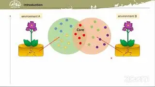 Alexandra Stoll: Microbiome Dynamics Associated with the Atacama Flowering Desert