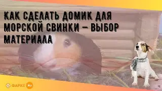 Как сделать домик для морской свинки — выбор материала