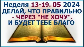 Неделя 13 - 19  мая 2024 г.:  о том как поступать правильно через 