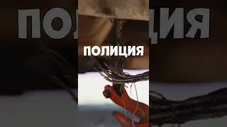 Полиция 