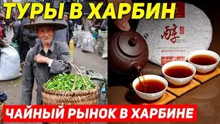 ТУРЫ В ХАРБИН из Владивостока! ЦЕНЫ Китайский Чай в Харбине +7(964)4444-144 Туры в Харбин Хабаровска