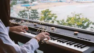 🎼