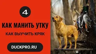 4.  Как манить утку. Охота с Бак Гарднер. Как выучить кряк. Русская озвучка.