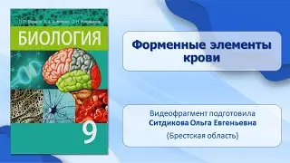 Внутренняя среда организма. Тема 20. Форменные элементы крови. Лабораторная работа № 1
