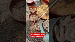 Шевелятся еще