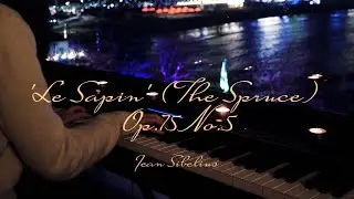 🎼[Emotional🎹]