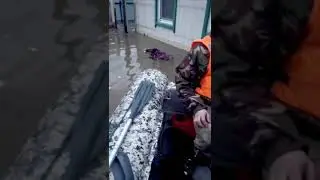 Кадры спасения животных из зоны затопления Орска