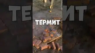 Термит 