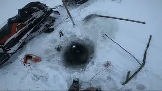 (24)Зимняя рыбалка на Севере. Улов налима и установка нового перемёта на Енисее.