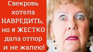 СВЕКРОВЬ со своей дочерью решили мне НАВРЕДИТЬ, но я ЖЕСТКО дала отпор обидчикам и не жалею!