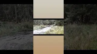 #танки