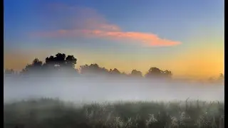Николай Лунёв Туманы,туманы