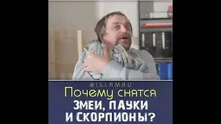 Почему снятся змеи, пауки и скорпионы? 