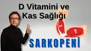 D Vitamininin Kas Sağlığına Etkisi