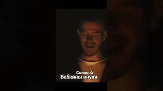 #бабкинывнуки Соловей
