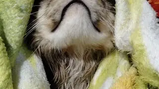 Два прикольных анекдота!