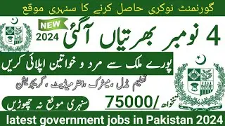 Latest government November jobs 2024 ۔ New jobs 2024 in pakistan۔Latest jobs in Pakistan 2024 today