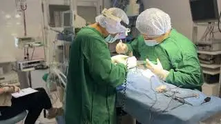 Ветеринарна хірургія у клініці Ексвет