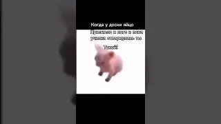 #meme#рекомендации#тт#смех#shorts