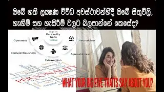 Big Five Personality Traits | ඔබේ පෞරුෂ ලක්ෂණ පහ | @insight_4U