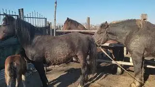 Настало время знакомств