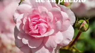 Ana Bekoach. La meditación de un Kabbalista ​✫♥✫