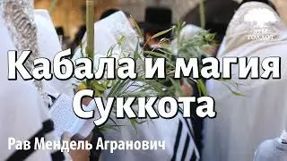 Числа, цифры, значения...Кабала и магия Суккота. Рав Мендель Агранович