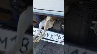 27 июня 2024 г.