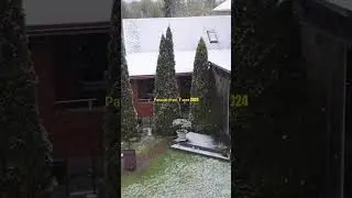 Понять, простить, принять😇
