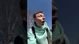 Встретили медведя в лесу🤫