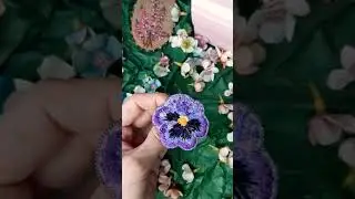 Брошь нежная фиалка, Анютины глазки, вышитая фиалка. Вышивка гладью. Под заказ