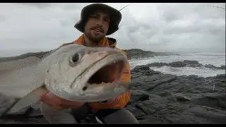 KOB on artificial - Transkei Fishing