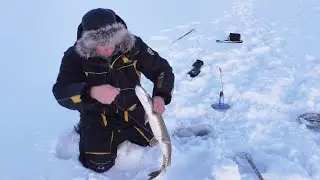РЫБАЛКА В ГЛУХОЗИМЬЕ В ХМАО-ЮГРЕ. ОЗЕРО ВОЛКОТУР.
