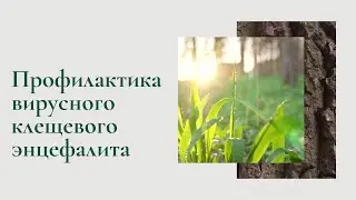 Осторожно, клещи!