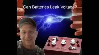 Are Your Batteries Leaking Voltage While You Sleep?