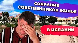 Собрания собственников жилья в Испании: кормление кошек, законы. Инвестиции в недвижимость Испании