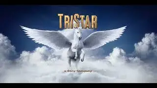 Sony / TriStar Pictures / Netflix / Working Title Films (Matilda The Musical)