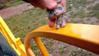 LPS. Грустный фильм